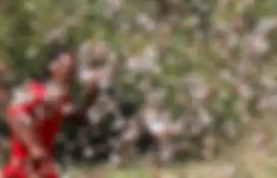 Covid-19 Belum Selesai, Triliunan Belalang Serbu Kenya, Ethiopia, Yaman, hingga India Utara, Helikopter Sampai Dikerahkan untuk Semprot Pestisida, Pengamat: 'Peringatan dari Alam'