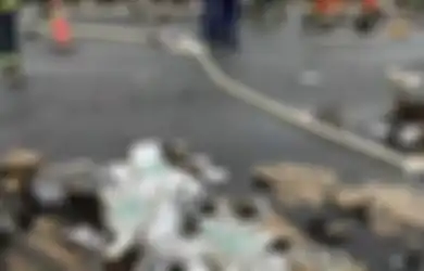 Duh! 200.000 Unit iPhone 11 Terbaru Ludes Terbakar Karena Truk Pengangkutnya Terguling