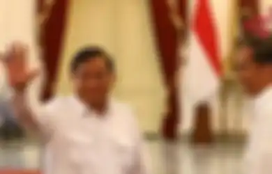 Jadi Presiden, Kekayaan Jokowi Rupanya Masih Jauh Dari Menhan Prabowo yang Sampai 2 T, Sosok Ini yang Bisa Saingi Kekayaan Prabowo Rupanya