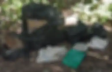 Sungguh Berhati Iblis yang Melakukannya, 10 Hewan Mati Termasuk Anjing Dibuang dalam Kotak di Tempat Sampah