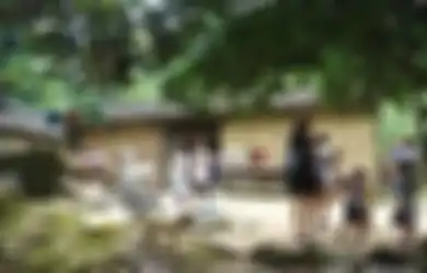 Nikahi Gadis Muda 19 Tahun, Pria 49 Tahun Ini Keranjingan 'Bikin Anak' , 21 Tahun Menikah Sudah Punya 15 Anak Petugas KB Sampai Ingatkan Pakai Kondom