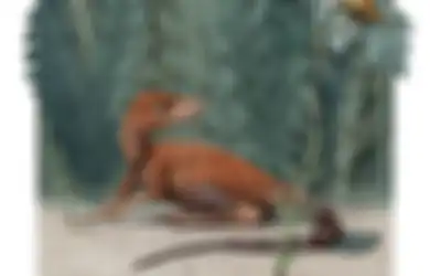Siapa Sangka, Kalo Nenek Moyang Dinosaurus Ternyata Seukuran Cangkir Kopi