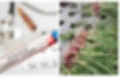 Melas! 3 Bulan Tak Dapat Penghsasilan hingga Pengen Pulang Kampung, Pria Ini Nekat Curi 10 Karung Bawang untuk Biaya Rapid Test