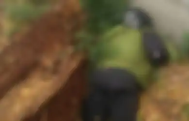 Kasus Kematian Janggal Editor Metro TV: Tewas di Tol Pesanggrahan, Hilang Tiga Hari Lalu dan Dugaan Kuat Pembunuhan dari Bukti Mengenaskan di Tubuhnya
