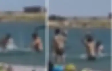 Nggak Ada Otak, Kelompok Turis Pukuli Anjing Laut Pake Batu Biar Bisa Diajak Selfie