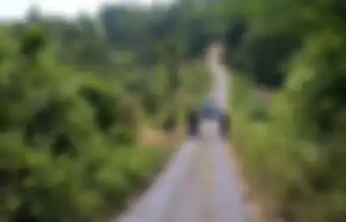 Tersimpan Rapi di Pedalaman Hutan Blora, Harta Karun Makam Kuno Wong Kalang Jadi Target Pemburu Ilegal, Polisi Sampai Turun Tangan, Barang-barang Ini yang Terpendam Bersama Para Leluhur