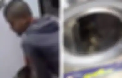 Viral Video Pria Bunuh 3 Kucing dengan Dimasukkan ke Mesin Cuci, Polisi Kejar Pelaku
