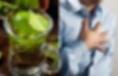 8 Kegunaan Daun Salam untuk Kesehatan Vital, untuk Kesehatan Jantung!