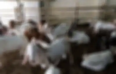 Apes! Sudah Bilang-bilang Mau Kurban 10 Kambing, Seorang Pria di Cianjur Harus Gigit Jari, Kini Tanggung Malu Tak Jadi Berkurban Gara-gara Ini