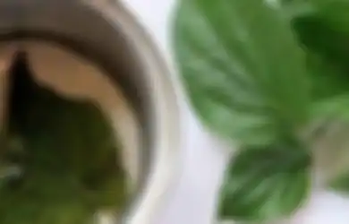 Coba Deh Mulai Sekarang, Biasakan Minum Air Rebusan Daun Sirih, Rasakan Perbedaannya pada Tubuh Anda, Bahkan Penyakit Mematikan Ini Enggan ‘Mampir’