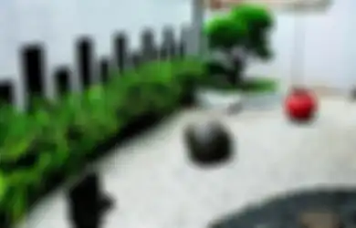 Taman Kering Desain Minimalis: Minim Lahan, Tanaman, dan Perawatannya