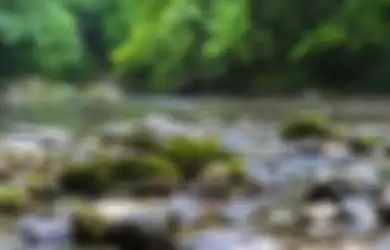 Nggak Ada Nalarnya Sama Sekali, Wanita Ini Amplas Wajah Anaknya Pakai Batu Kali Biar Bersih dan Tampan nan Paripurna, Akui Ogah Putranya Diejek Lagi Gara-gara Dianggap Jelek