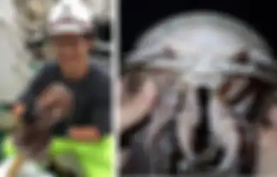 Temukan Spesies Kecoa Laut Mirip Darth Vader di Selat Sunda, Peneliti: Pencapaian yang Besar