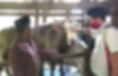 Gagal Terpilih Idul Adha Tahun Lalu, Peternak Asal Polewali Mandar Jual Sapi 1,2 Ton Miliknya dengan Harga Fantastis ke Presiden Jokowi