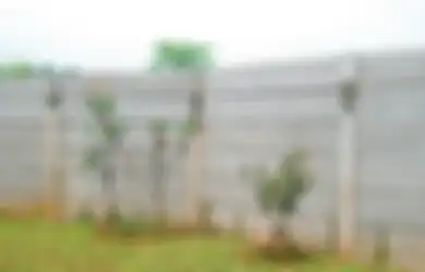 Terungkap Cara Meninggikan Pagar Beton, Coba Pertimbangkan Hal Ini