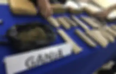 Jualan Ganja dalam Lingkungan Kampus, Mahasiswa Universitas Swasta di Jakarta Diciduk Polisi