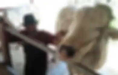 Waspada! Begini 4 Cara Mencegah Penularan Antraks Pada Manusia 
