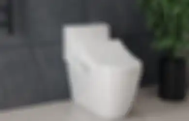 Bahaya! Ini Alasan Kita Wajib Tutup Penutup Kloset Saat Pencet Tombol Flush!