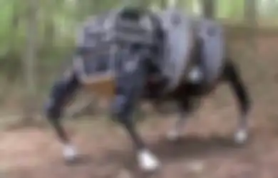 Robot Anjing hingga Bom Kelelawar, Ini 7 Senjata Militer Paling Aneh di Dunia, Tapi Kekuatannya Sangat Mematikan!