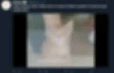 Anak Kucing Ini Sering Nyuri Uang di Bar, Udah Kepergok CCTV Tetep Nggak Kapok