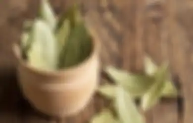 Ajaib! Minum Air Rebusan 10 Daun Salam 2 Kali Sehari Ternyata Ampuh Cegah 8 Penyakit Mengerikan Ini