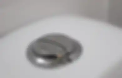 Ini Alasan Sebenarnya Kenapa Toilet Duduk Bisa Punya 2 Tombol Flush!