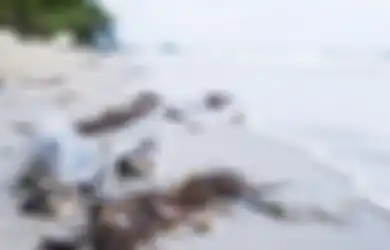 Terkenal Akan Keindahannya, Viral Foto Pantai Kuta yang Diserbu Berbagai Jenis Sampah: Sebelumnya Tidak Sebanyak Ini