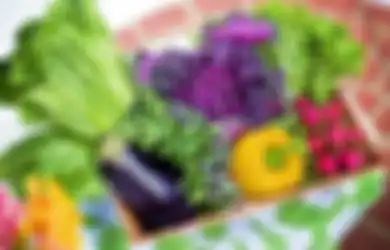 Puluhan Tahun Ogah Makan Sayur dan Buah, Orang Ini Hampir Buta