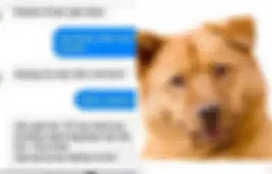 Ngakunya Cuma Coba-coba Gegara Nonton Video Panas, Pria Ini Nekat Setubuhi Anjing Peliharannya Berkali-kali Padahal Istri Lagi Hamil di Rumah, Begini Nasibnya Sekarang