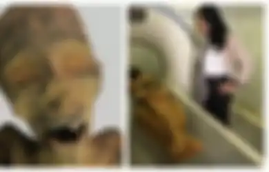 Temuan Peneliti tentang Mumi Mesir dengan Mulut Terbuka, Ada Dugaan  'Mumi Berteriak' Ini Mengalami Kematian yang Memilukan