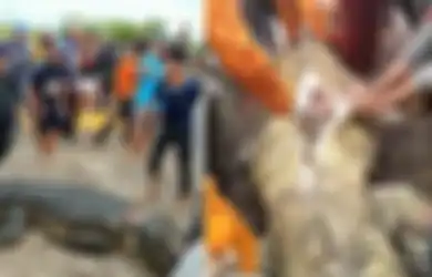 Ajak Sekeluarga Naik Perahu ke Kebun Sawit, Ponidi Tiba-tiba Diterkam Buaya hingga Diseret ke Dalam Sungai, Istri dan Anak Nangis Histeris Saksiskan Detik-detik Tragedinya