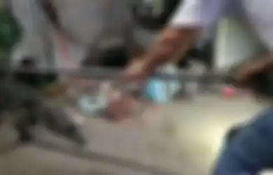 Merinding! Pria Ini Tak Sadar Tiap Malam Tiduri Reptil Mematikan Gara-gara Kamarnya Kelewat Berantakan