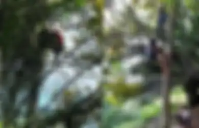 (Foto) Mengintip Perjuangan Para Siswa untuk Belajar Online, Terpaksa Panjat Pohon untuk Cari Signal hingga Jalan Kaki Sejauh 2 Km