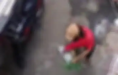Jokowi Pernah Turun Tangan, Pengamen Topeng Monyet Kini Kembali Tertangkap Kamera Siksa Kera, Ngakunya ke Kasatpol PP Sedang Lakukan Pembinaan