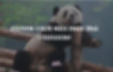 Sering Disepelekan, Ini Kebiasaan yang Bikin Kita Punya Mata Panda!