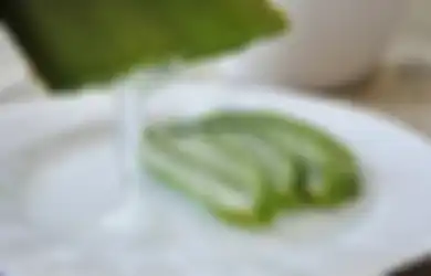 Cara Membuat Masker Lidah Buaya untuk Hilangkan Warna Gelap hingga Lembabkan Bibir