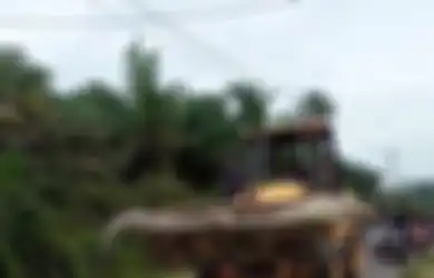 Usianya Capai 112 Tahun, Buaya Raksasa dengan Panjang Hampir 5 Meter Ini Sempat Mengamuk saat Dilumpuhkan hingga Diangkut Buldoser