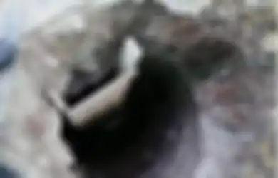 Berniat 'Selamatkan' Putranya dengan Gali Terowongan Sepanjang 10 Meter Selama 3 Minggu, Seorang Ibu Ditangkap Polisi dan Terancam Dipenjara 'Ini Adalah Ibu yang Nyata'