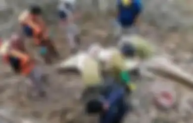 Malang Betul, Bocah 14 Tahun Jadi Korban Predator Ganas Usai Sibuk Kumpulkan Siput di Tepi Sungai