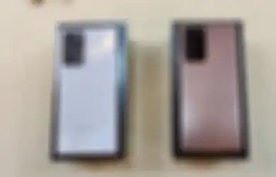 Hasil Foto Samsung Galaxy Note20 Ultra, Ada Laser AF dan Pro Video