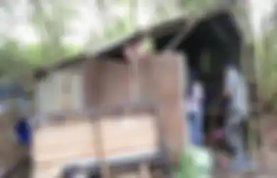 Miris, Selama 1 Tahun, Remaja Ini Tinggal di Bekas Kandang Ayam Bersama Ibu dan Adiknya, Ngaku Sering Diejek Teman Namun Kini Sudah Kebal