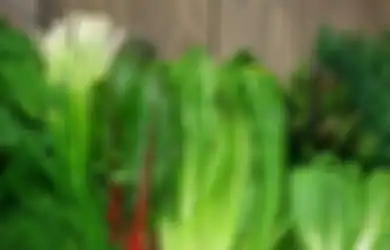Sudah Mulai Masuk Musim Penghujan, Sebaiknya Hindari 4 Makanan Berikut ini Demi Kesehatan Tubuh, Salah Satunya Sayuran Hijau