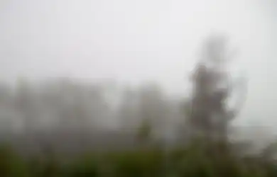 Hilang Saat Tracking ke Tengah Hutan di Sumatera Barat, 84 Remaja Ini Akhirnya Berhasil Ditemukan, Begini Kondisi Mereka Sekarang