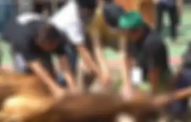 Jelang Hari Raya Idul Adha 2021, Inilah Tips dan Trik Ampuh Memilih Hewan Kurban yang Baik, Bisa Dicoba!