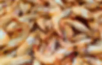 Ngeri, Tak Sengaja Tertusuk Udang, Tangan Pria Ini Nyaris Membusuk dan Hampir Tewas, Dokter Sebut Hanya Ini Cara Untuk Menyelamatkan Nyawanya
