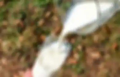 Mudah Saja, Flek Hitam di Wajah Bisa Dihilangkan dengan Menggunakan Susu, Begini Caranya