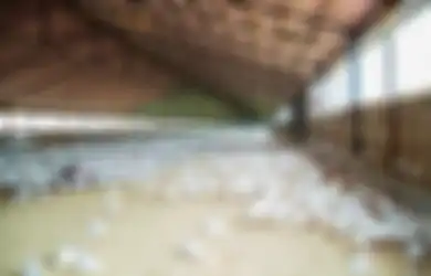 Ditemukan di Bekas Kandang Ayam, Warga yang Bersihkan Situs Kuno itu Mengaku Alami Peristiwa Mistis, 'Saya Pernah Ditemui Wanita Muda Pakai Baju Kebaya'