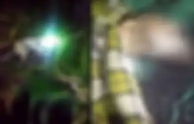 Meringkik dan Menangis Sebelum Dikubur Hidup-hidup, Anjing Ini Hebohkan Warga Lombok, Disebut Pelajar SMP yang Terkena Ilmu Hitam, Pecinta Binatang Ungkap Fakta Sebenarnya