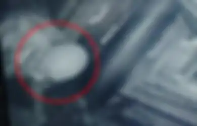 Setiap Malam Suara Gaduh Muncul di Lotengnya, Awalnya Dikira Hanya Tikus, Keluarga Ini Langsung Pasang Kamera dan Tak Percaya Melihat Sosok Ini yang Menjadi Biang Keladinya