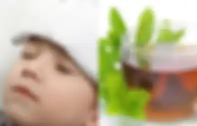 Obat Penurun Panas Alami untuk Anak-anak, Termasuk Teh Herbal